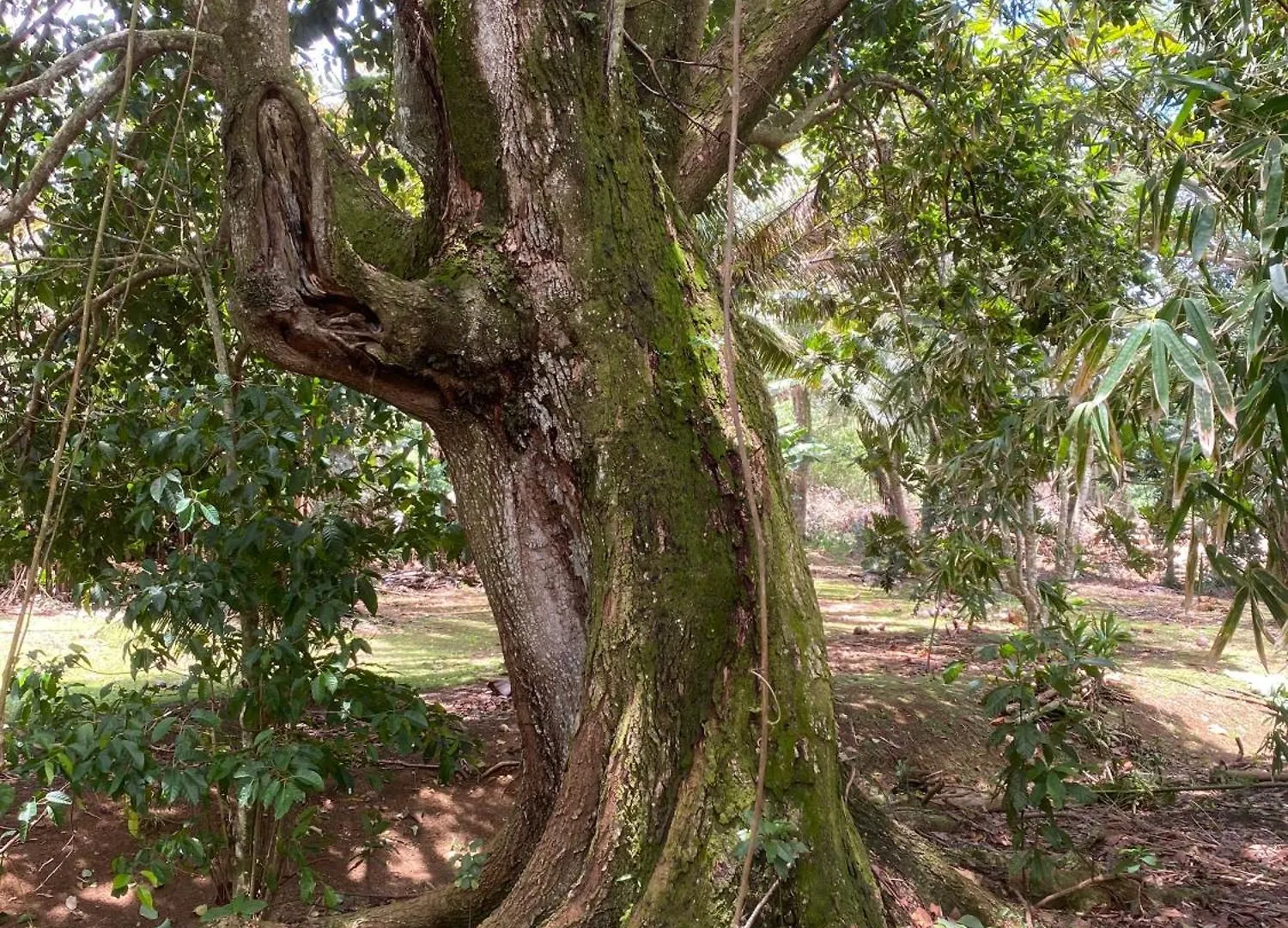 Villa Fare Tamaruorai Mataura