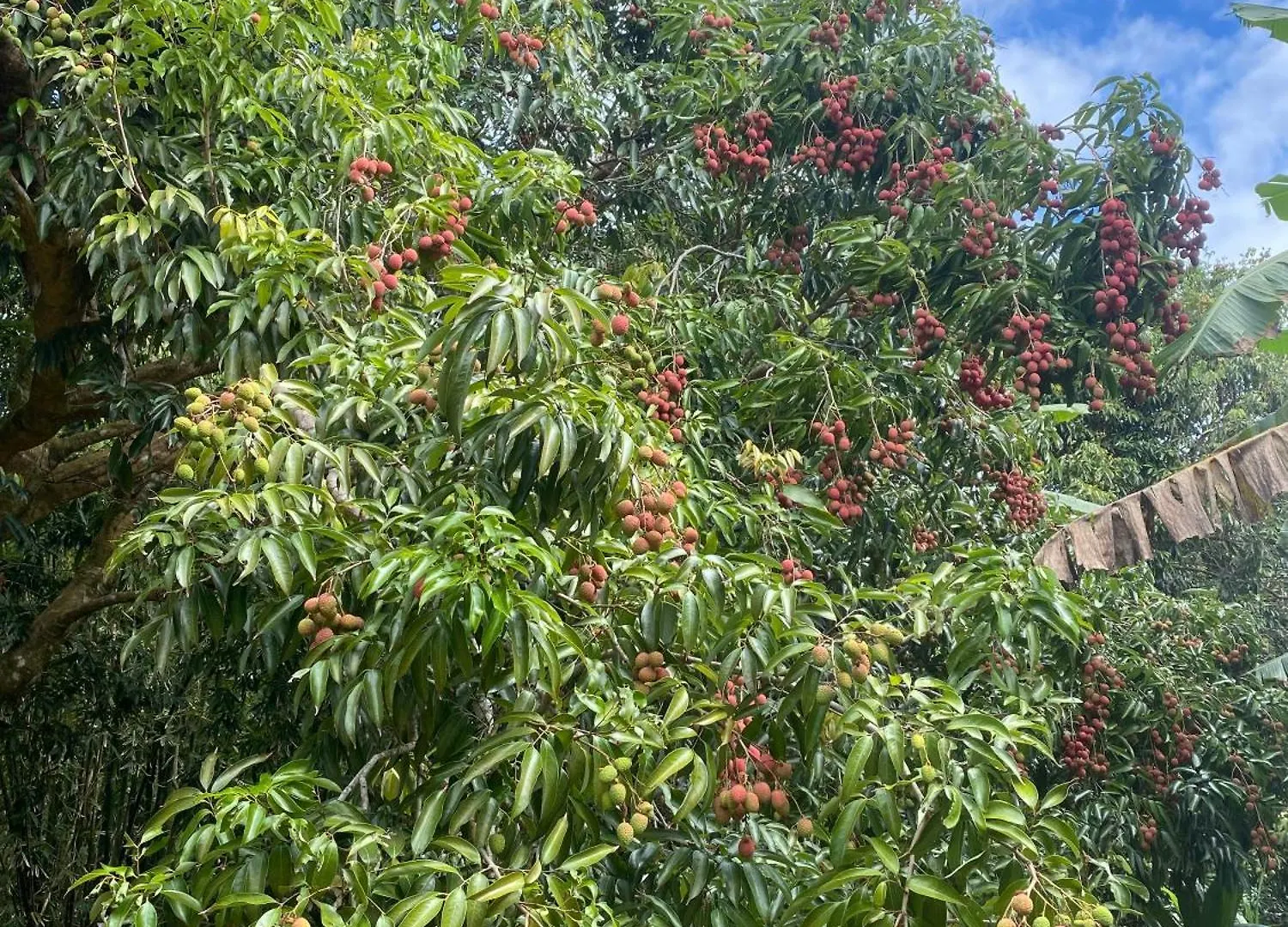 Villa Fare Tamaruorai Mataura 0*,